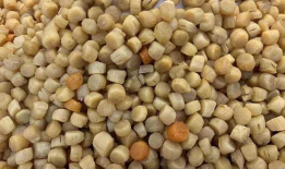 瑶柱是什么东西,探寻海味珍品背后的故事